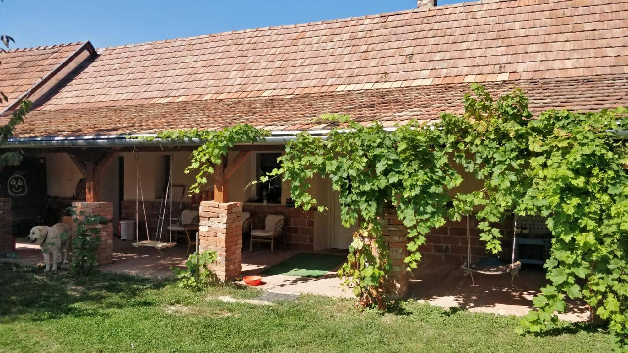Oereghaz Vendeghaz Daire Lakhegy Dış mekan fotoğraf