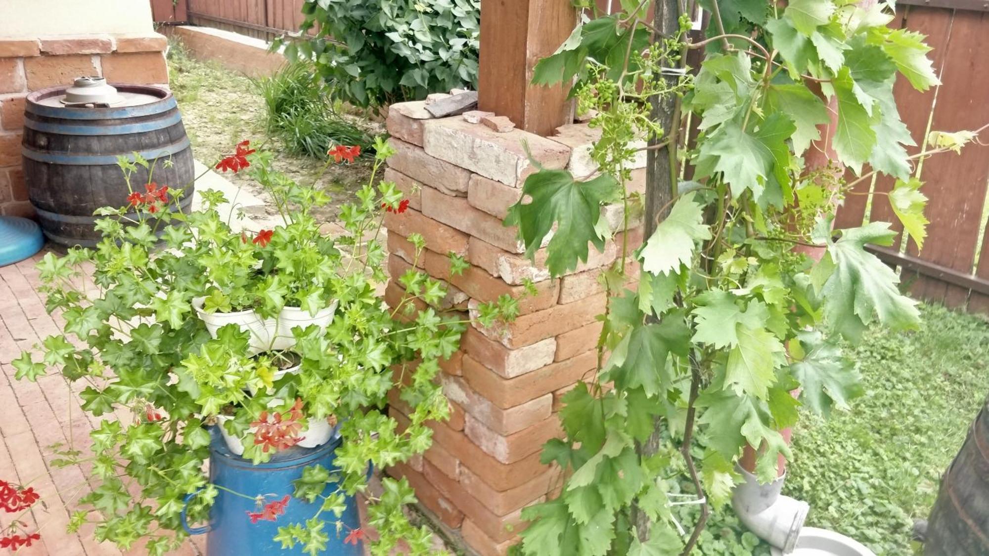Oereghaz Vendeghaz Daire Lakhegy Dış mekan fotoğraf