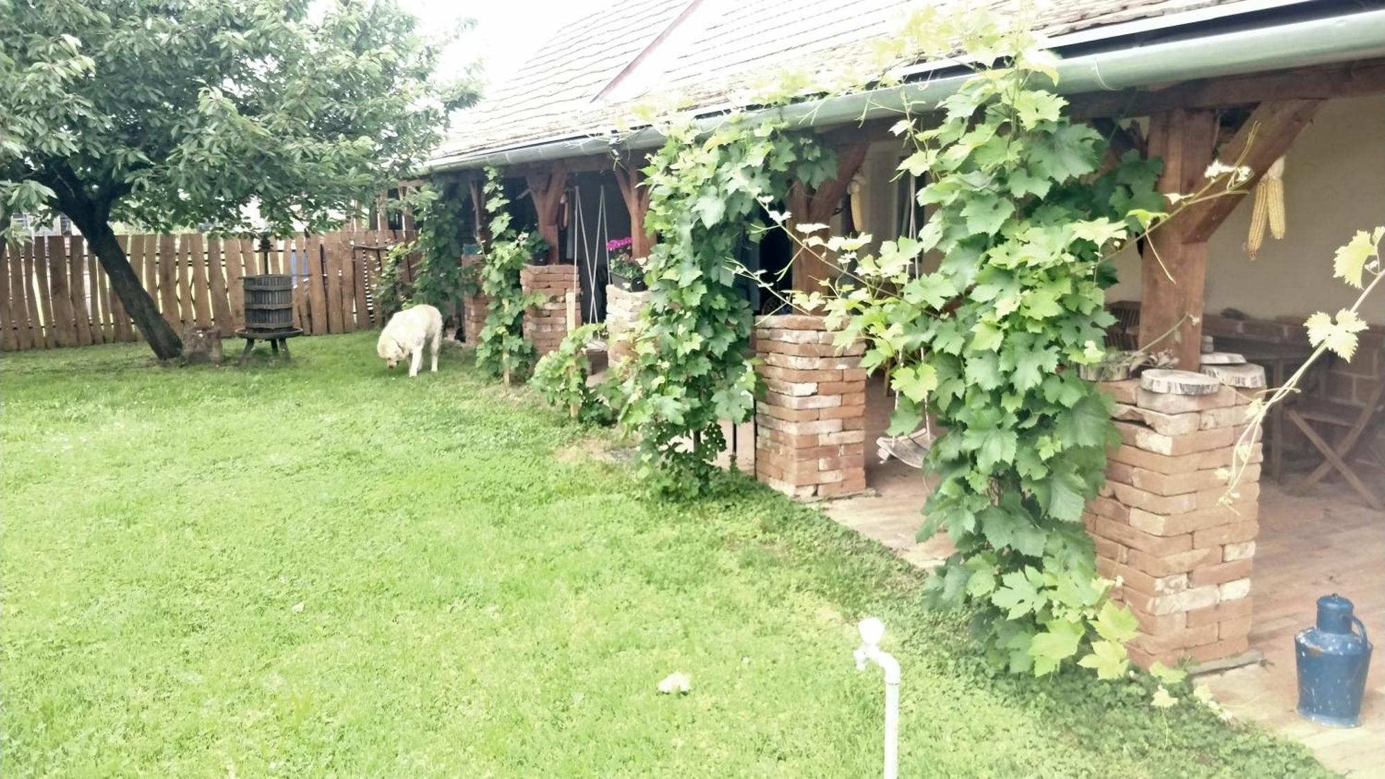 Oereghaz Vendeghaz Daire Lakhegy Dış mekan fotoğraf